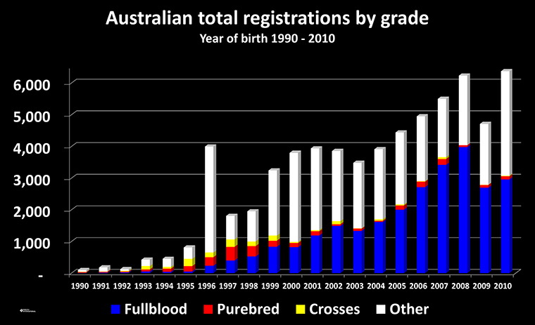 Chart of Wagyu registrations 1990 to 2010 by year of birth of Fullblods, Purebred and crosses plus Commercial in Australia